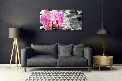 Quadro in vetro Pietre di fiori Orchidea