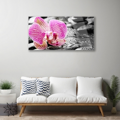 Quadro in vetro Pietre di fiori Orchidea