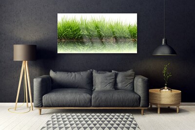 Quadro in vetro Erba Natura Pianta