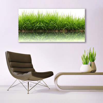 Quadro in vetro Erba Natura Pianta