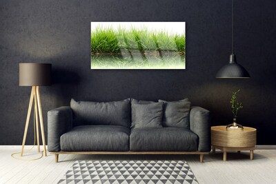 Quadro in vetro Erba Natura Pianta