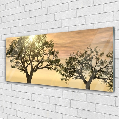 Quadro su vetro Alberi della natura