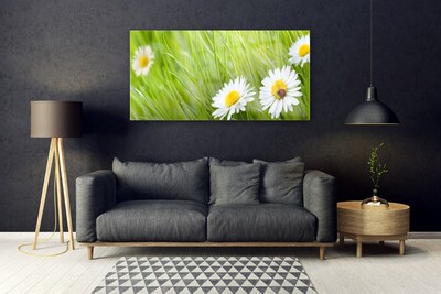 Quadro vetro Erba margherita Natura