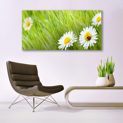 Quadro vetro Erba margherita Natura