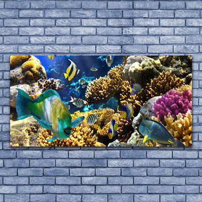 Quadro su vetro Natura della barriera corallina