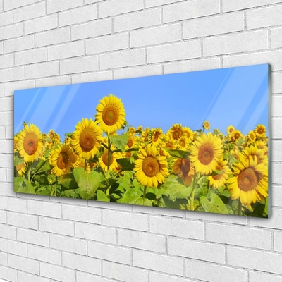 Quadro su vetro Pianta di girasole