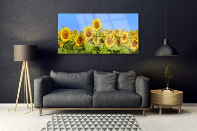 Quadro su vetro Pianta di girasole