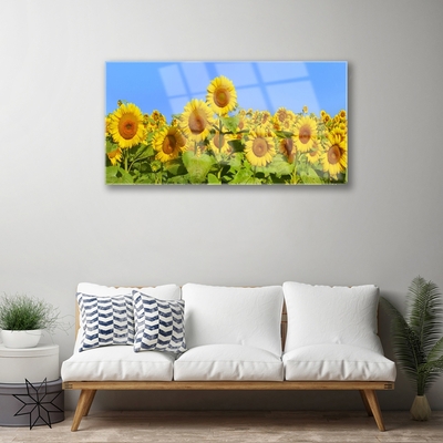 Quadro su vetro Pianta di girasole