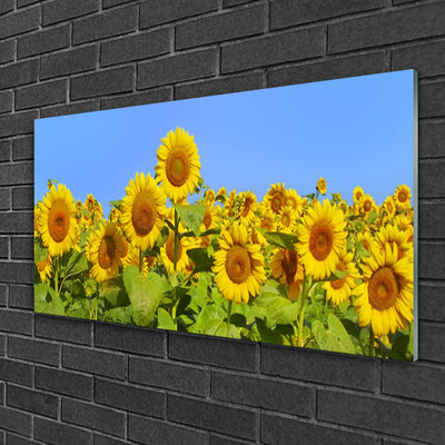 Quadro su vetro Pianta di girasole