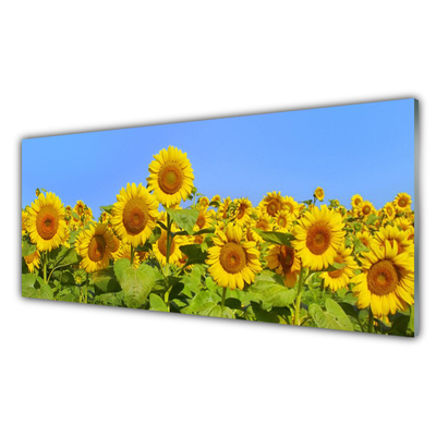 Quadro su vetro Pianta di girasole