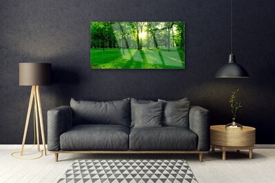 Quadro in vetro Parco Forestale Natura