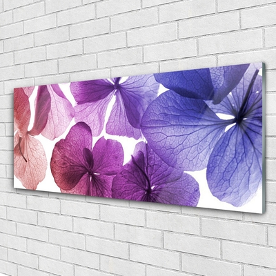 Quadro su vetro Fiori Pianta naturale