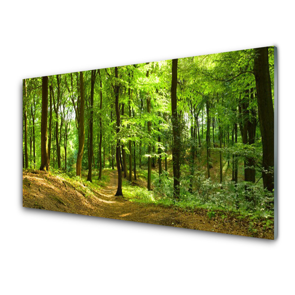 Quadro in vetro Percorso naturalistico della foresta