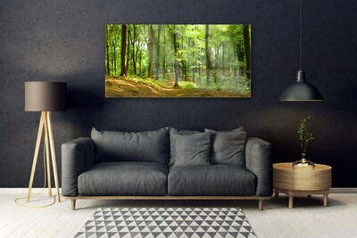 Quadro in vetro Percorso naturalistico della foresta