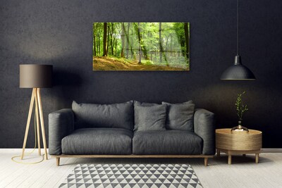 Quadro in vetro Percorso naturalistico della foresta