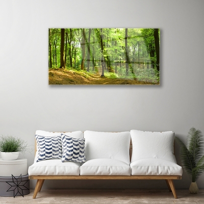 Quadro in vetro Percorso naturalistico della foresta