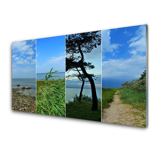 Quadro in vetro Paesaggio di alberi da spiaggia
