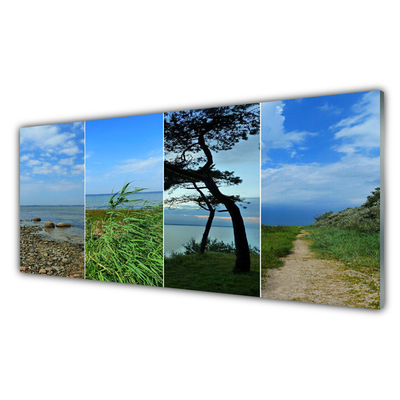 Quadro in vetro Paesaggio di alberi da spiaggia