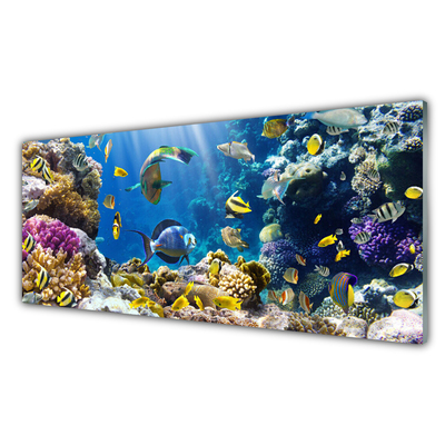 Quadro di vetro Natura della barriera corallina