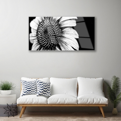 Quadro di vetro Fiore Pianta naturale