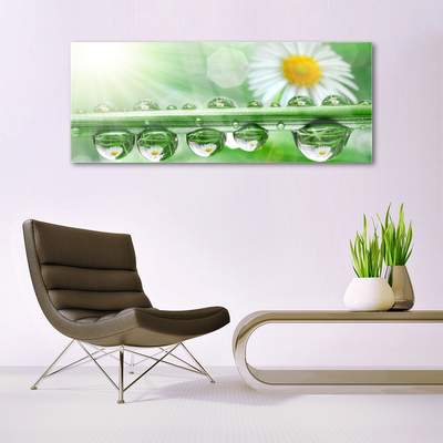 Quadro in vetro Rosa Leaf Daisy Natura