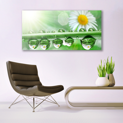 Quadro in vetro Rosa Leaf Daisy Natura