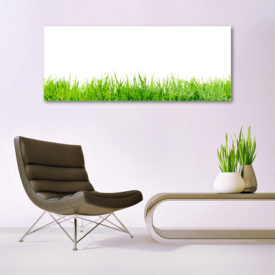 Quadro vetro Erba Natura Pianta