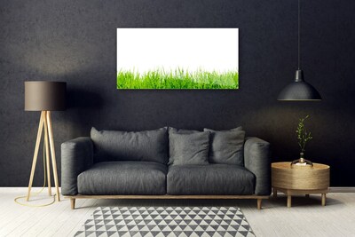 Quadro vetro Erba Natura Pianta