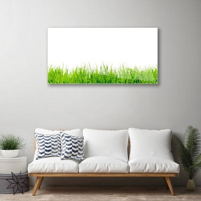 Quadro vetro Erba Natura Pianta