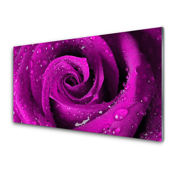 Quadro in vetro Fiore di rosa pianta naturale