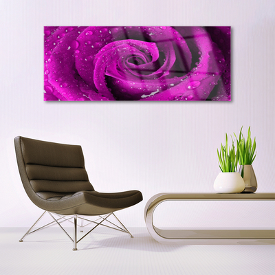 Quadro in vetro Fiore di rosa pianta naturale