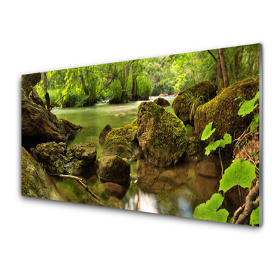 Quadro in vetro Lago di roccia Natura