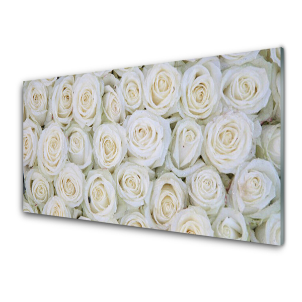 Quadro su vetro Rose Fiori Pianta