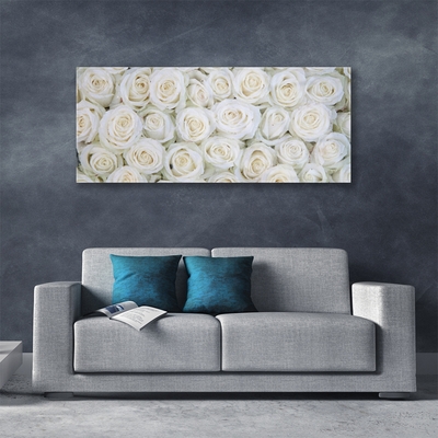 Quadro su vetro Rose Fiori Pianta