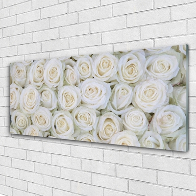 Quadro su vetro Rose Fiori Pianta