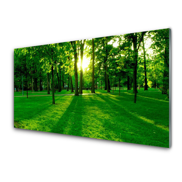 Quadro vetro Parco Forestale Natura