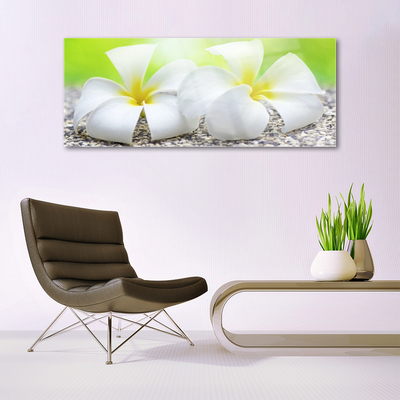 Quadro su vetro Fiori Pianta naturale