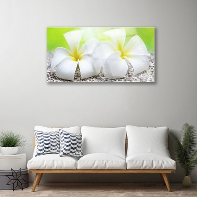 Quadro su vetro Fiori Pianta naturale