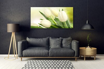 Quadro vetro Tulipani Fiori Pianta