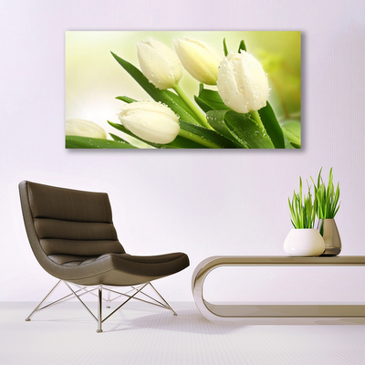 Quadro vetro Tulipani Fiori Pianta