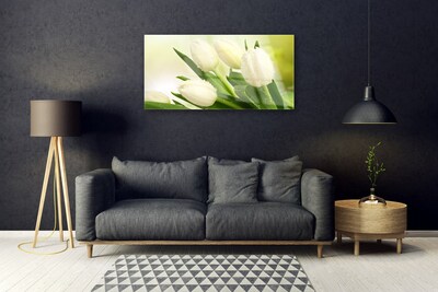 Quadro vetro Tulipani Fiori Pianta