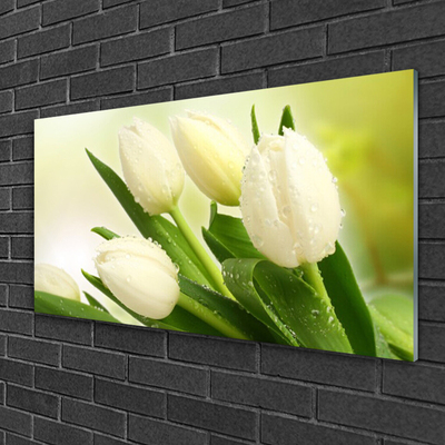 Quadro vetro Tulipani Fiori Pianta