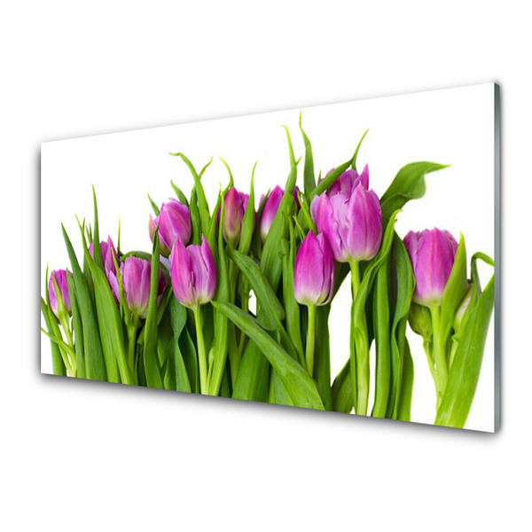 Quadro in vetro Tulipani Fiori Pianta