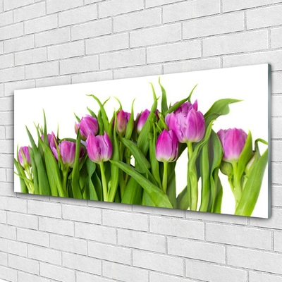 Quadro in vetro Tulipani Fiori Pianta