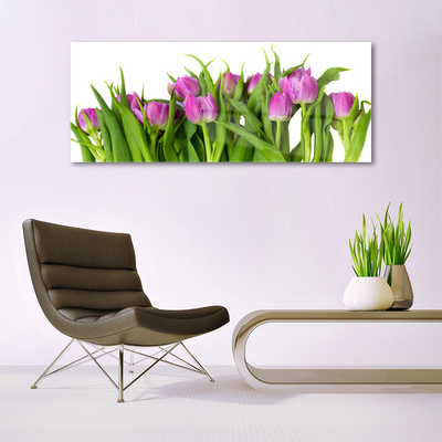 Quadro in vetro Tulipani Fiori Pianta