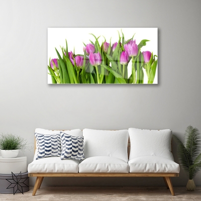 Quadro in vetro Tulipani Fiori Pianta