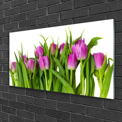 Quadro in vetro Tulipani Fiori Pianta