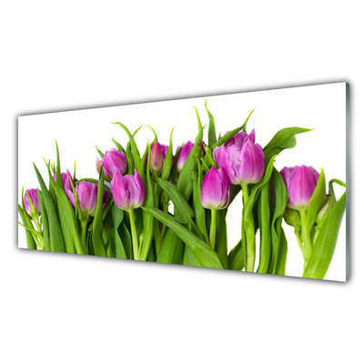 Quadro in vetro Tulipani Fiori Pianta