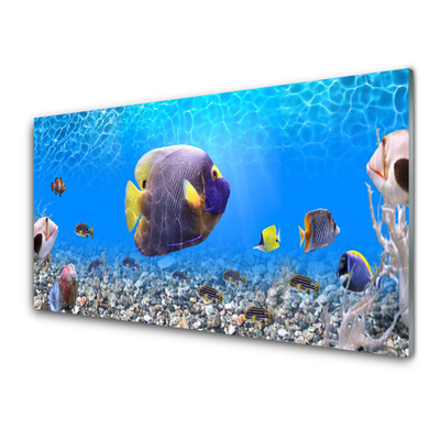 Quadro in vetro Pesce Natura