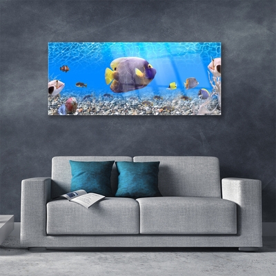 Quadro in vetro Pesce Natura